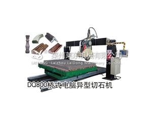 DQ800橋式電腦異型切機